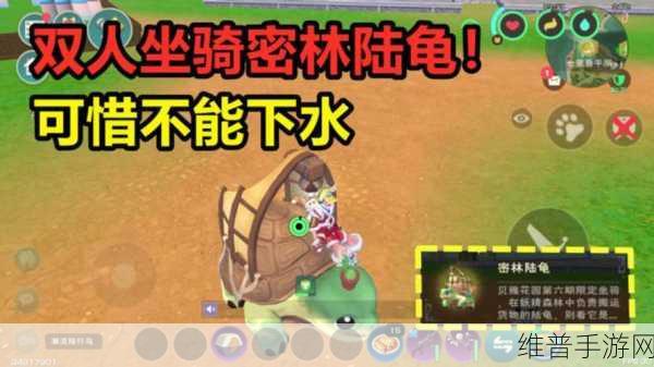 创造与魔法，龟类宠物捕获秘籍大公开