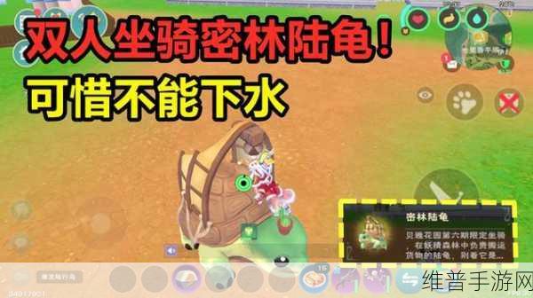 创造与魔法，龟类宠物捕获秘籍大公开