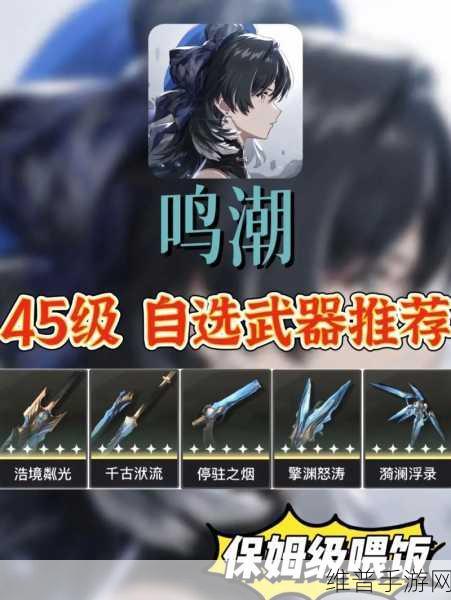 鸣潮补偿五星自选 明智之选指南