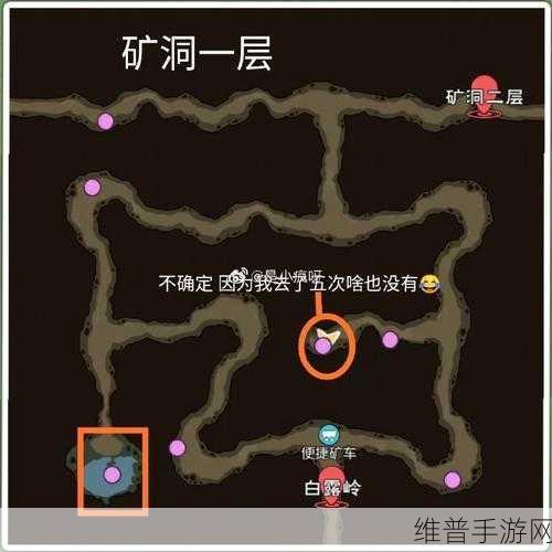 小森生活稀有虫点分布与刷新全攻略