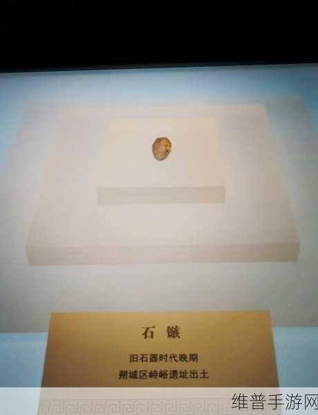 石器时代，探秘人类发现火的传奇之旅