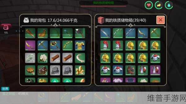 创造与魔法中龟壳的奇妙用途大揭秘