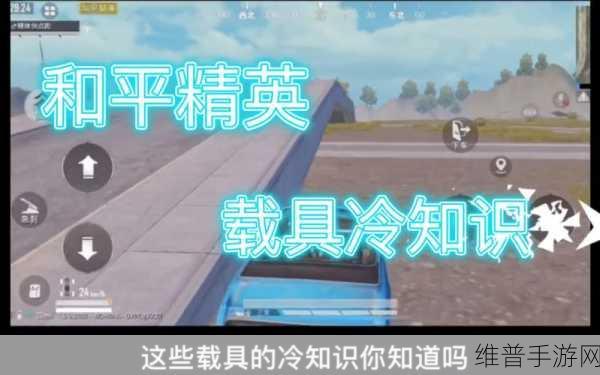 和平精英，跳伞秘籍大揭秘，你不知道的冷知识