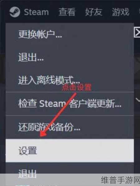 Steam 手机版网络游戏连接难题全攻略