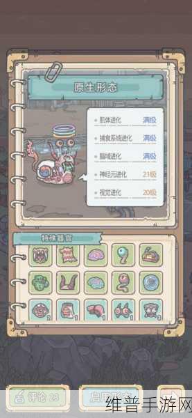 最强蜗牛竞技场兑换物品全解析，助你实力飞升