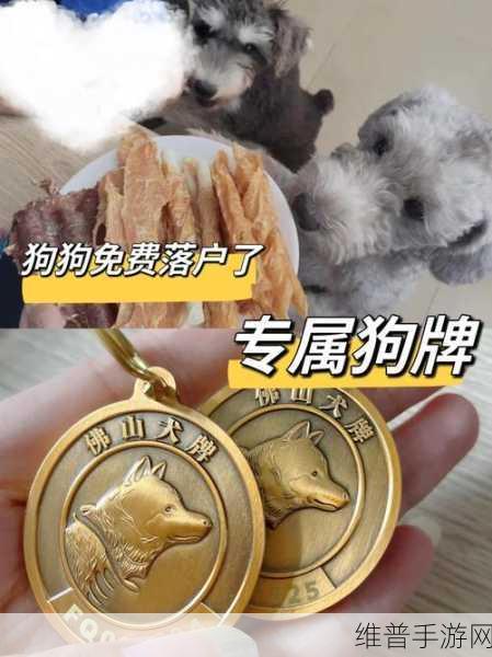 手游中狗狗养成秘籍，养犬证办理全攻略