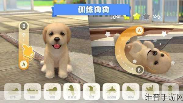 手游中狗狗养成秘籍，养犬证办理全攻略