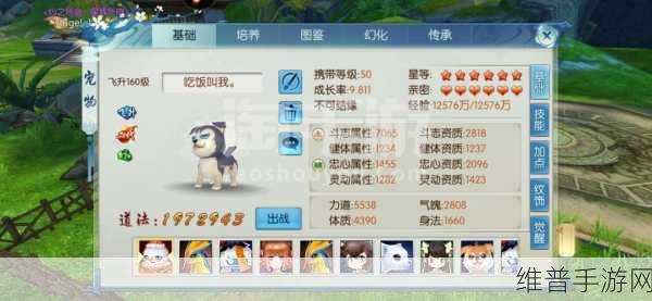 诛仙手游炼器成功率大揭秘