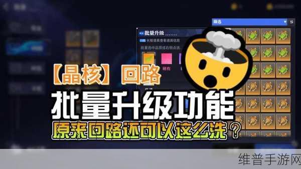 晶核魔剑士回路精准选择指南