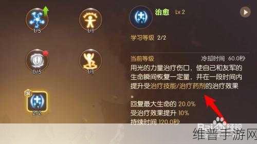 龙之谷 2 手游祭司技能巧妙搭配指南