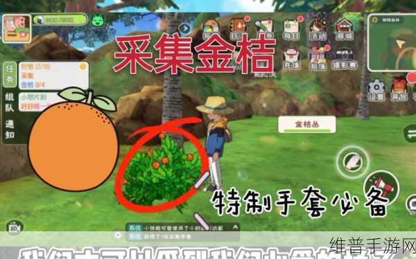 小森生活手套获取秘籍，全方位指南与巧妙技巧