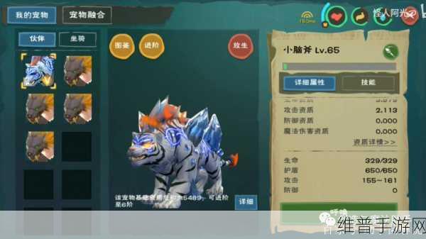 创造与魔法，皎晶白虎技能深度解析