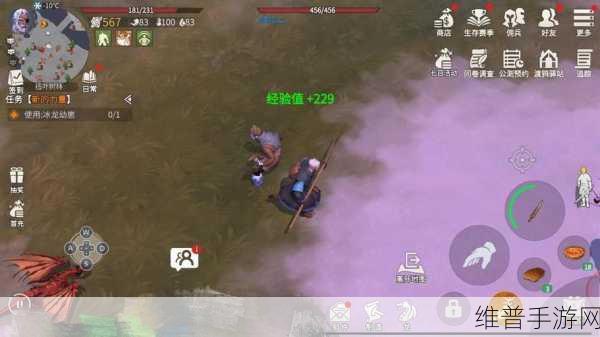 冰原守卫者等级飙升秘籍，全面解析与实战技巧