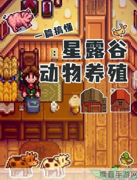 星露谷物语，罗宾丢失斧子位置大揭秘