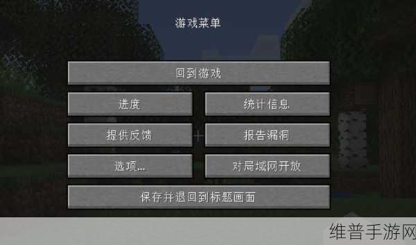 我的世界 Minecraft 好友联机秘籍大公开