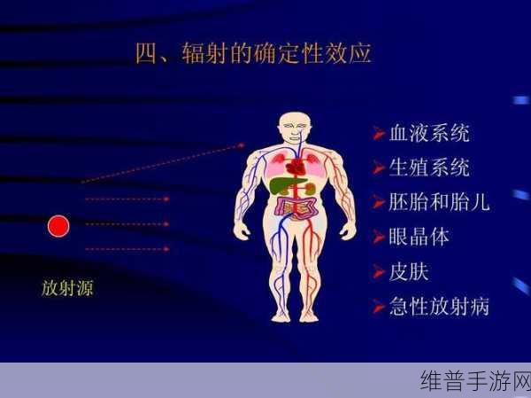 辐射 4 全队友资料与技能详细解析