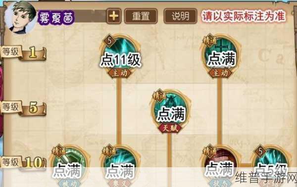 航海王燃烧意志,亲密度秘籍大公开