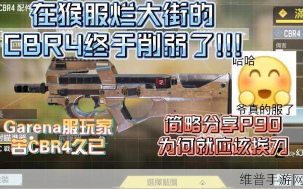 使命召唤手游 CBR4 武器全方位深度解析
