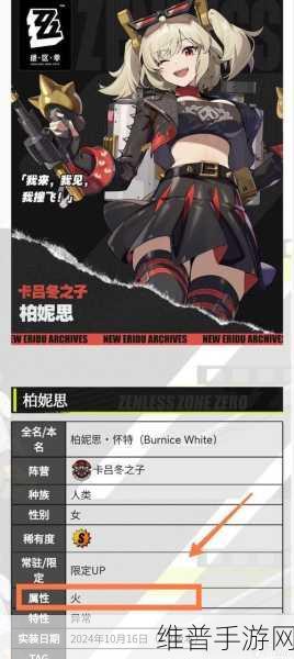 绝区零柏妮思配队秘籍，策略全解析与超强搭配推荐