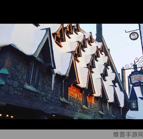 哈利波特手游，霍格莫德村开放后的无限可能