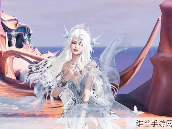 天谕手游神秘货物暗号大揭秘