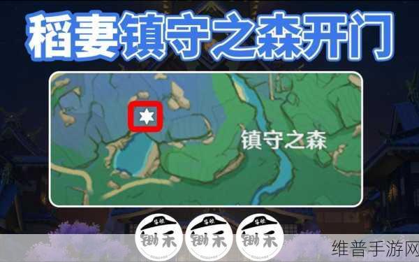 原神镇守之森结界破解全指南
