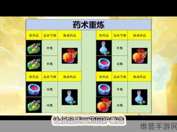 梦幻西游手游修炼果的修炼经验加成详解