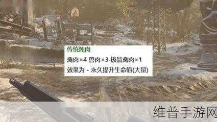 生化危机 8 手游，极品禽肉获取全攻略