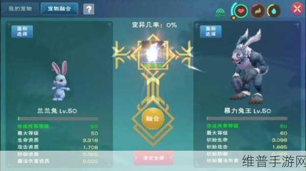 创造与魔法，疯疯兔进阶秘籍大公开