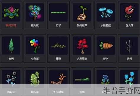 元气骑士魔力花作用全方位剖析