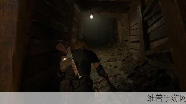 生化危机 4 重制版专家难度通关秘籍大揭秘