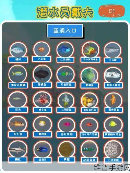 小森生活鱼类全攻略，种类位置一网打尽