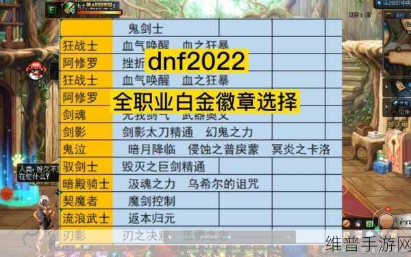 DNF 女圣职者白金徽章选对，战力飙升秘籍