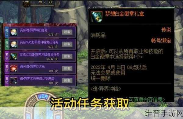 DNF 女圣职者白金徽章选对,战力飙升秘籍