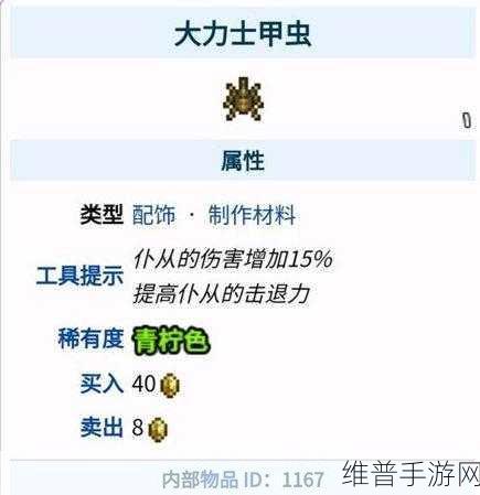 泰拉瑞亚甲虫套装效果深度解析