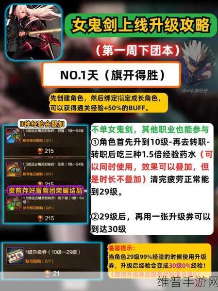 DNF 手游秘籍，角色与装备的最佳抉择指南