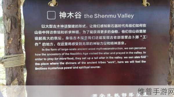 神都夜行录，探寻青丘占卜师的神秘位置