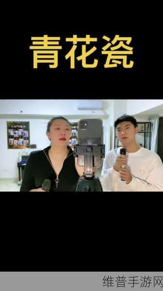 烟雨江湖牡丹仕女图作用全解析