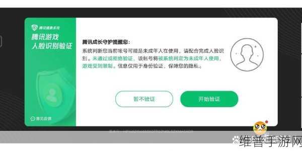 王者荣耀人脸识别失败？别急，攻略在此！