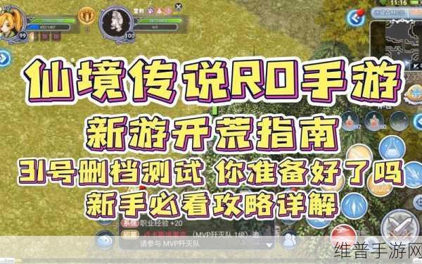 仙境传说 RO 手游迷藏森林通关秘籍