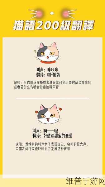 鸣潮手游猫语翻译任务全解析指南