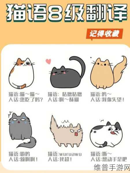 鸣潮手游猫语翻译任务全解析指南