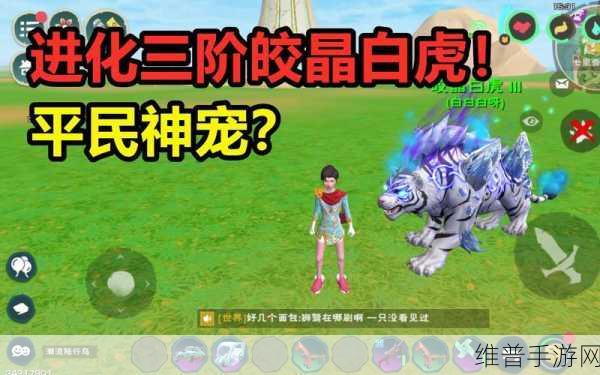 创造与魔法，皎晶白虎资质巅峰探秘