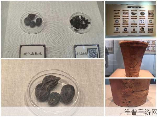 石器时代，探寻人类发现火的神秘之旅