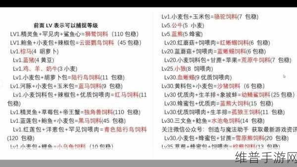 创造与魔法黑马饲料的秘密全解析