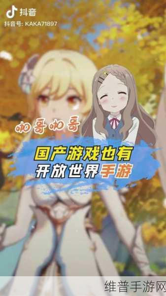手游世界的分期付款秘籍，抖音支付新探索
