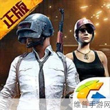 解决刺激战场 IOS 手机不兼容难题，畅玩无忧指南