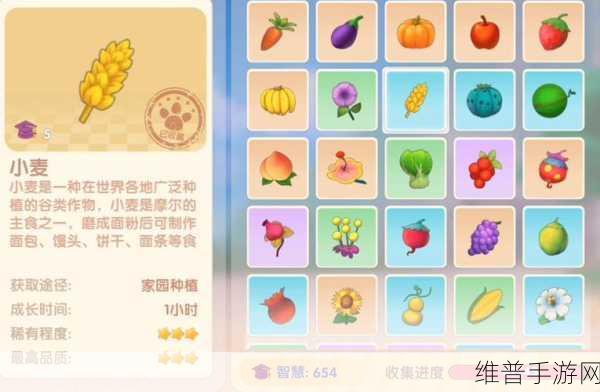 摩尔庄园手游，轻松获取小麦种子全攻略