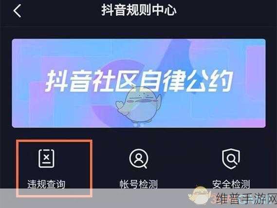 探索抖音商城评价记录删除之谜，助力手游攻略升级