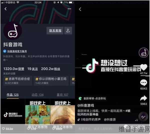 探索抖音商城评价记录删除之谜，助力手游攻略升级